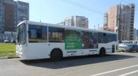 dscn8117_novyj-razmer